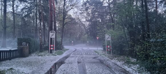 Foto gemaakt door Amara Onwuka - Wageningen - Hagel en nevelig na de passage van een forse onweersbui Foto gemaakt door Amara Onwuka - Wageningen - Hagel en nevelig na de passage van een forse onweersbui
