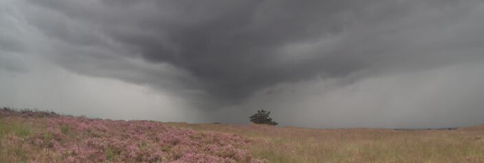 Foto gemaakt door Ton de Brabander - Ede - In Nederland kwam het gisteren wel tot flinke buien, maar niet tot een tornado. zoals net over de grens met Groningen in Duitsland wel het geval was. 