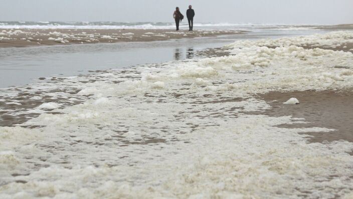 Foto gemaakt door Sjef Kenniphaas - Egmond aan Zee - Schuim op de stranden. Het zal de komende dagen vaker te zien zijn, want het lijkt lange tijd hard te gaan waaien. 