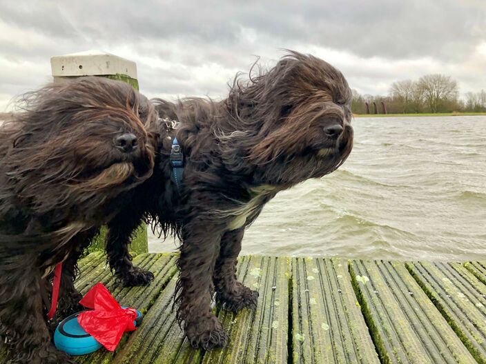 Foto gemaakt door Jolanda Bakker - Zevenhuizen (archief) - Wolken, wind, regen: het begint wat meer op herfst te lijken deze week