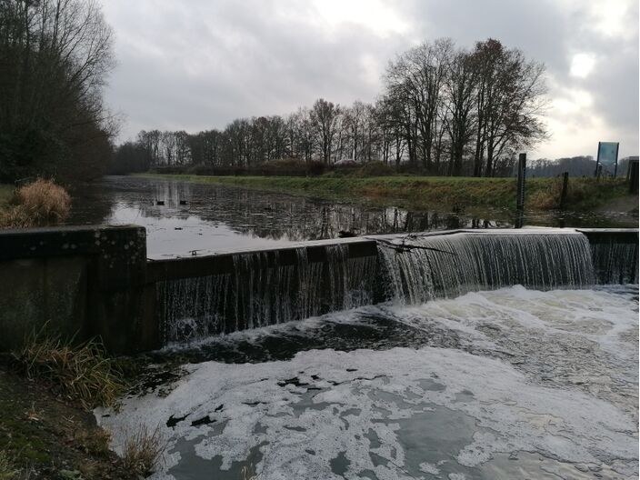 Foto gemaakt door Foto: Henk Wiggers - Miste - Het is deze week in Nederland erg zacht met rond de jaarwisseling mogelijk recordhoge temperaturen. Verder is het wisselvallig met vaak behoorlijk veel wind.